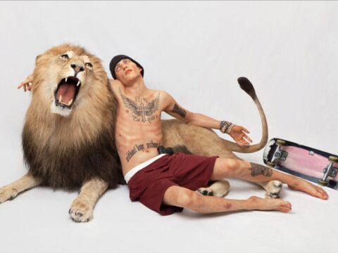 Rise And Rise Again Until Lambs Become Lions