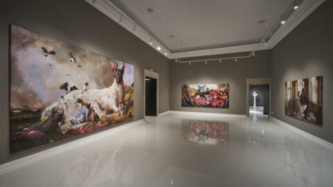 Guillermo Lorca Room Website